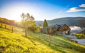 Amenity Hotel & Resort Spindleruv Mlyn